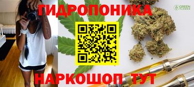 дмт Будённовск