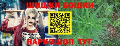 дмт Будённовск