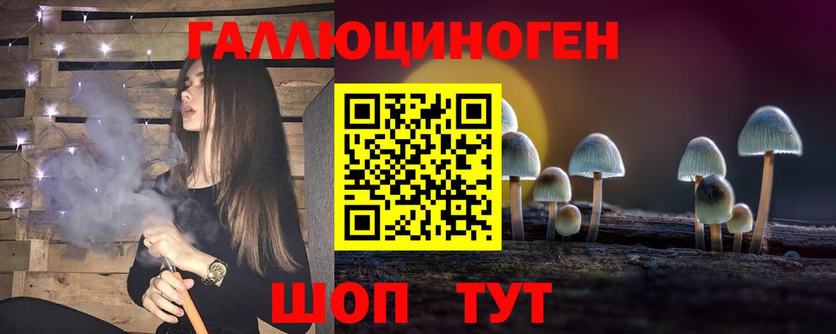 Прохладный  Псилоцибиновые грибы GOLDEN TEACHER  Вход с VPN 